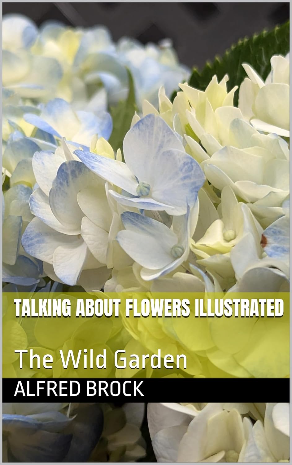 Talking About Flowers Illustrated: The Wild Garden (English Edition) baixar livro de graça