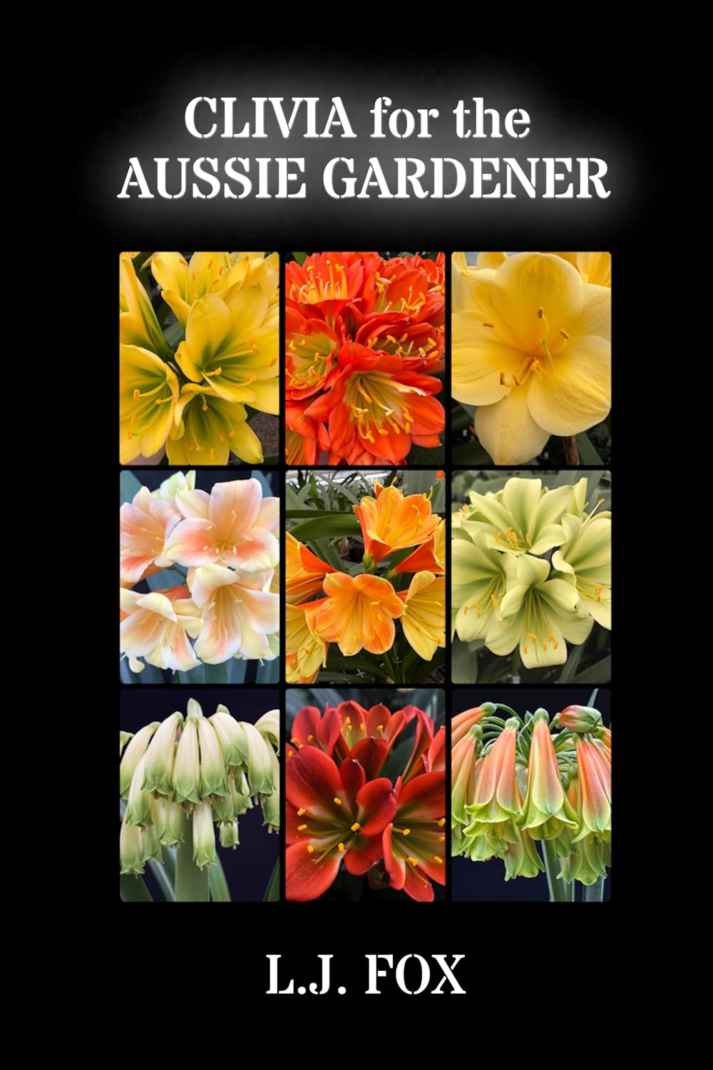 ler totalmente CLIVIA for the AUSSIE GARDENER (English Edition)
