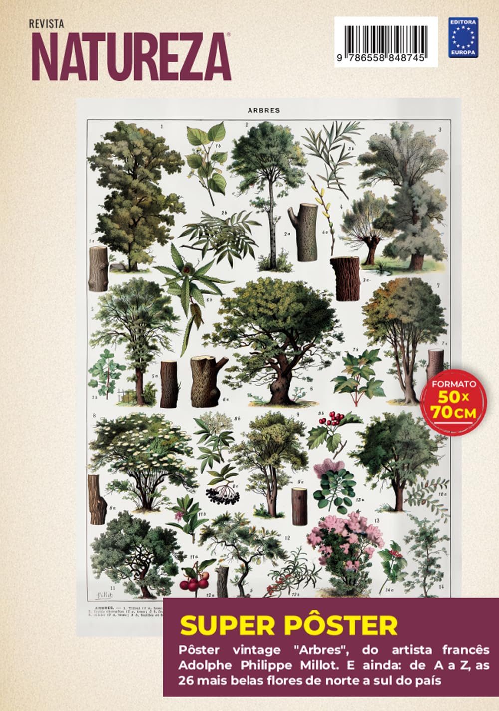Adolphe Philippe Millot: Arbres 1 - Superpôster Natureza baixar livro de graça