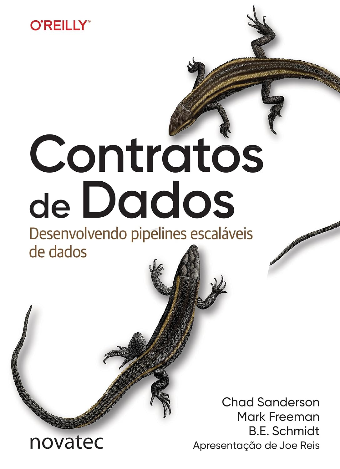 capítulo por capítulo baixar Contratos de Dados: Desenvolvendo pipelines escaláveis de dados