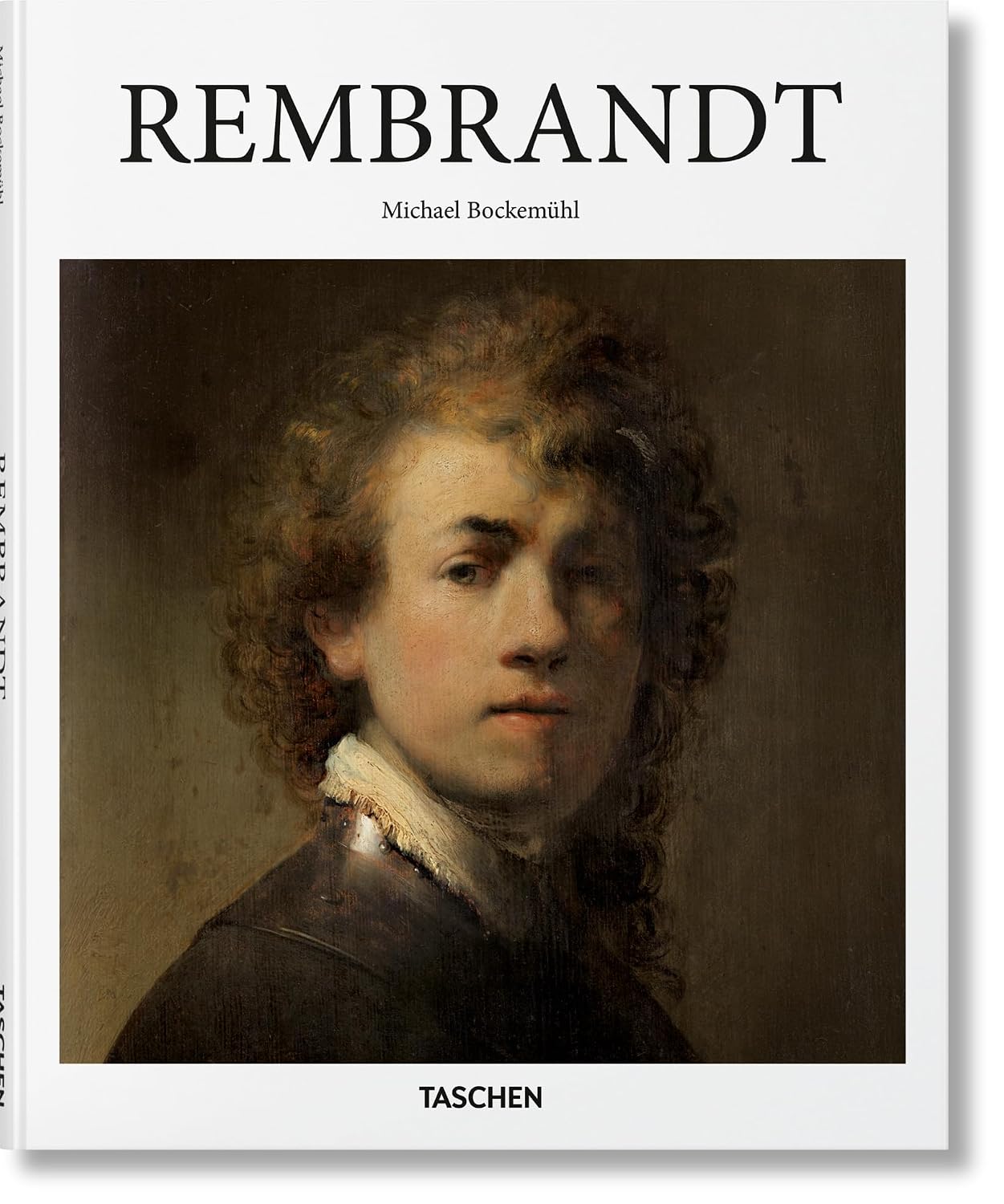 Rembrandt: the mystery of the revealed form baixar o livro de graça