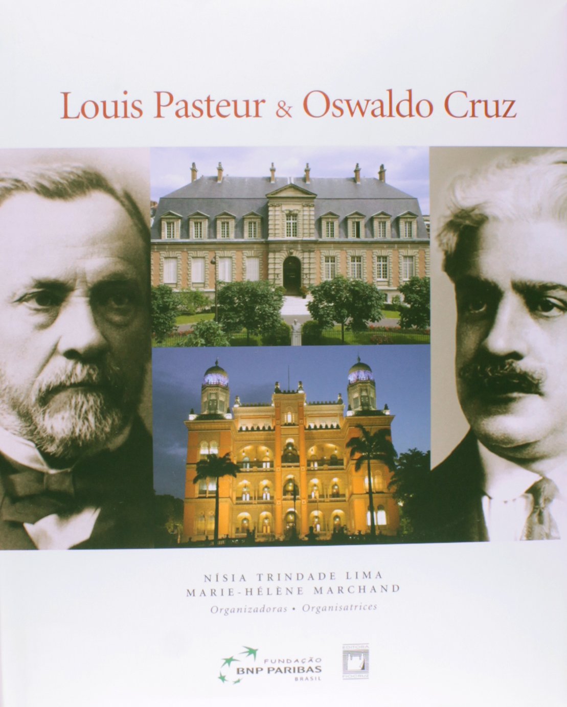 Louis Pasteur e Oswaldo Cruz: Inovação e tradição em saúde baixar livro de graça