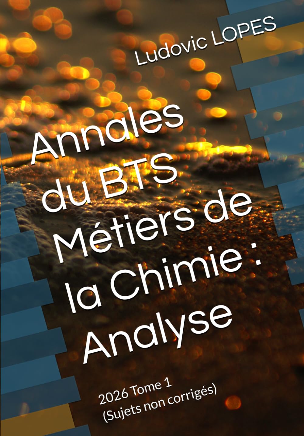 Annales du BTS Métiers de la Chimie: Analyse: 2026 Tome 1 (Sujets non corrigés) (French Edition) baixar o livro de graça