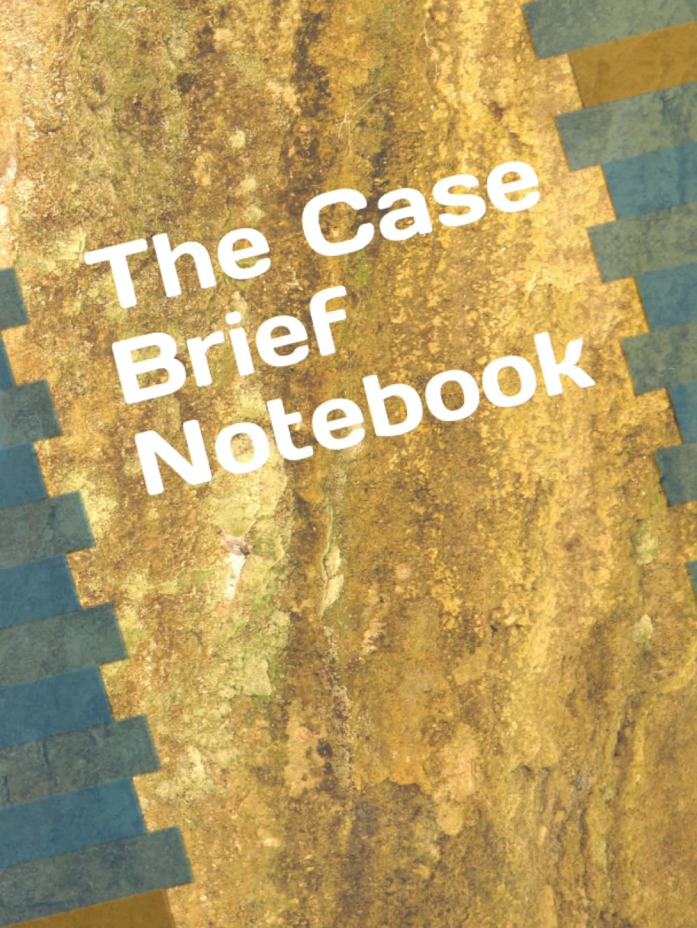ler totalmente The Case Brief Notebook