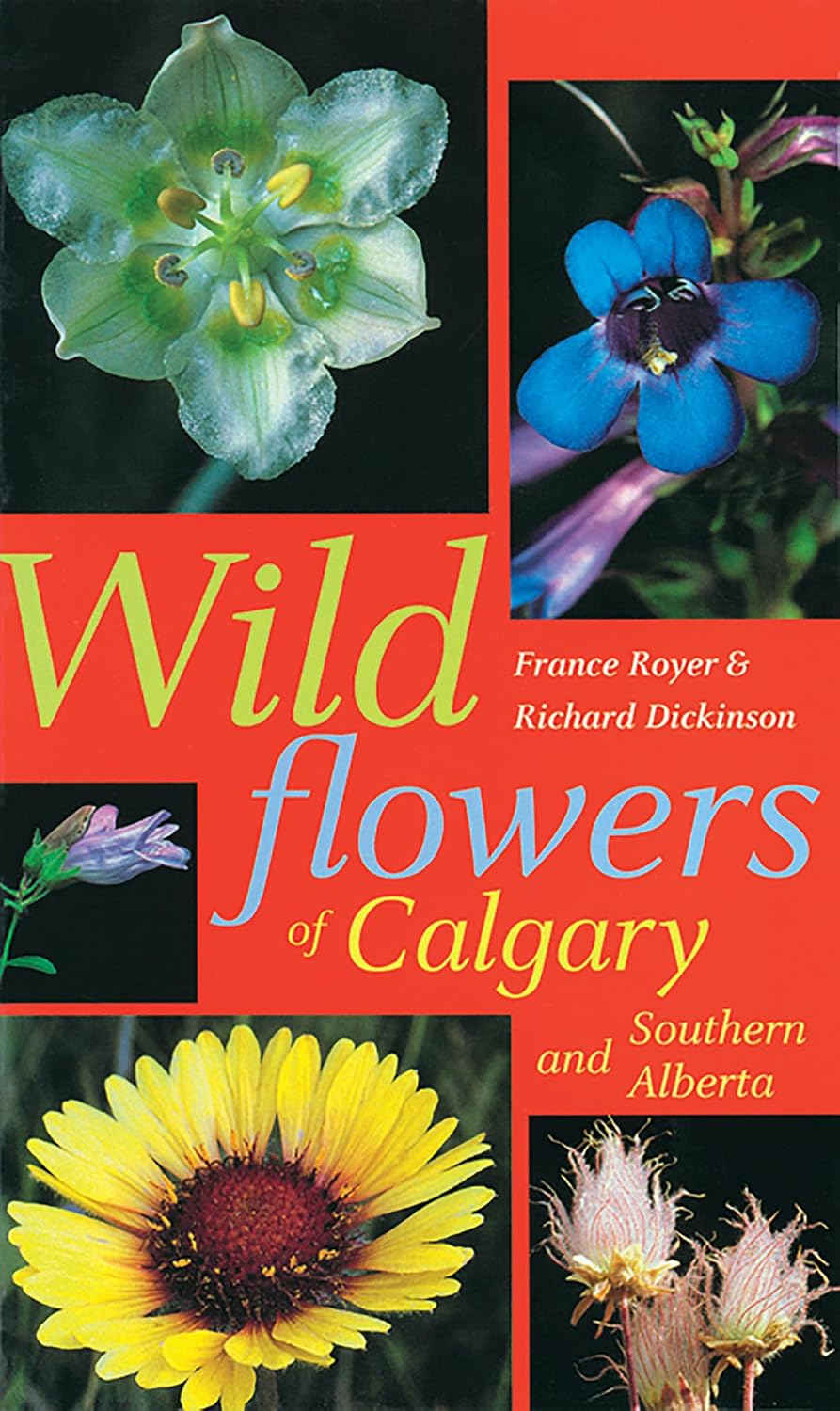 capítulo por capítulo baixar Wildflowers of Calgary and Southern Alberta