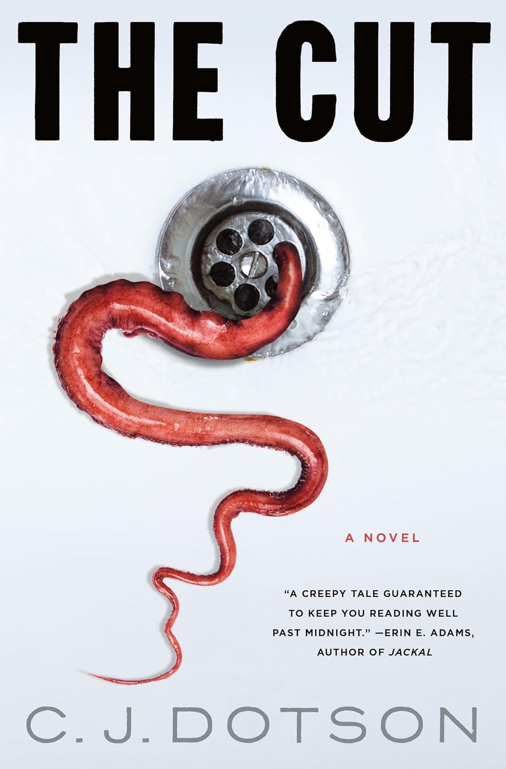 capítulo por capítulo baixar The Cut: A Novel