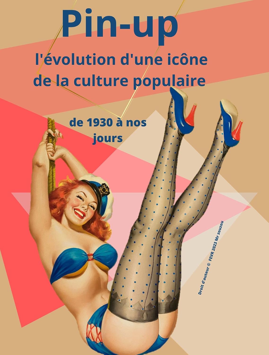 ler totalmente Pin-up: l'évolution d'une icône de la culture populaire (French Edition)