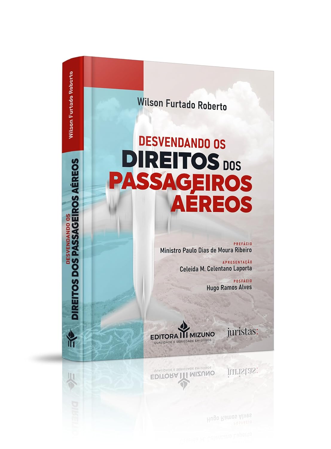 Desvendando os Direitos dos Passageiros Aéreos baixar o livro de graça