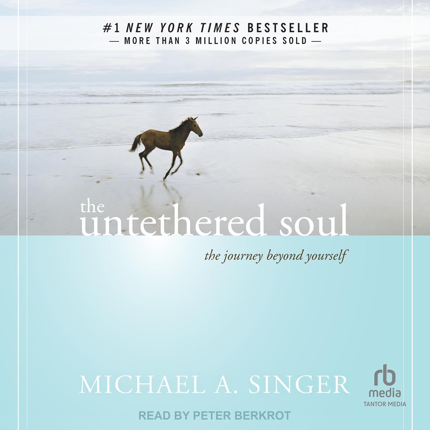 ler totalmente The Untethered Soul: The Journey Beyond Yourself