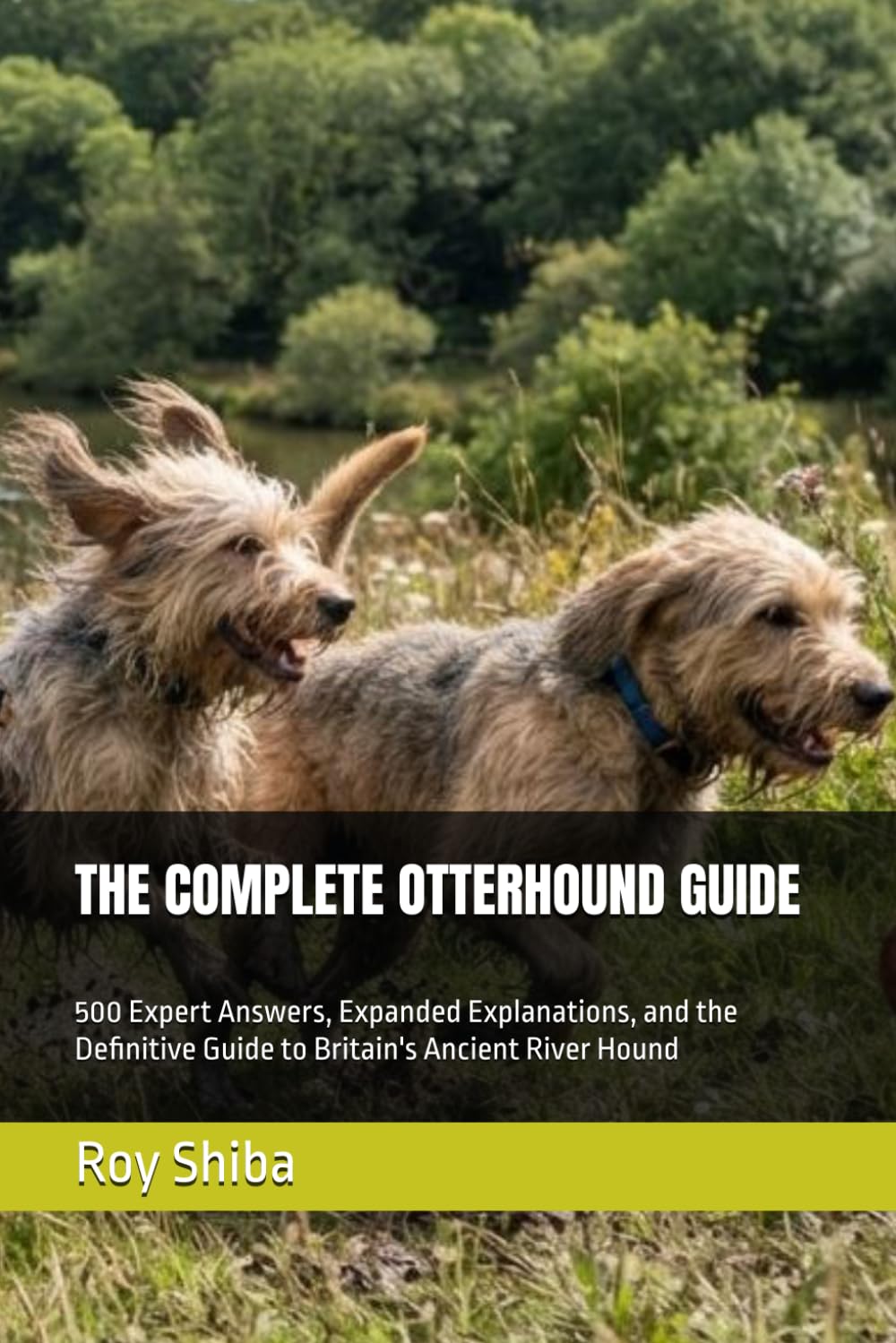 capítulo por capítulo baixar The Complete Otterhound Guide: 500 Expert Answers, Expanded Explanations, and the Definitive Guide to Britain's Ancient River Hound