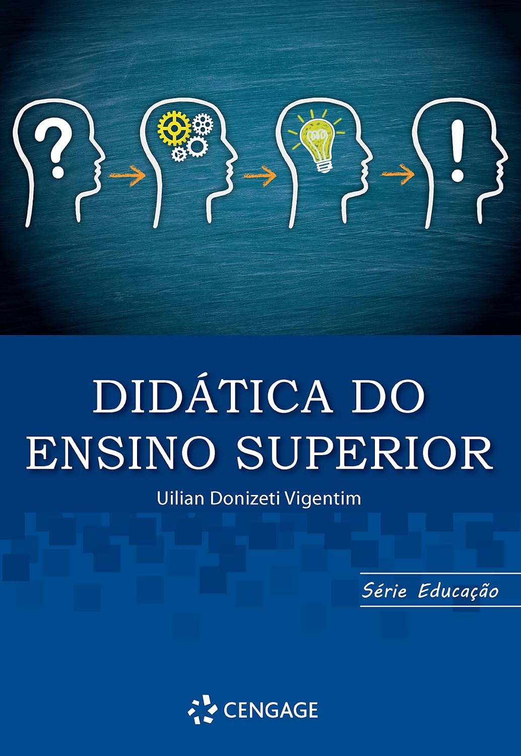 Didática do Ensino Superior baixar livro de graça
