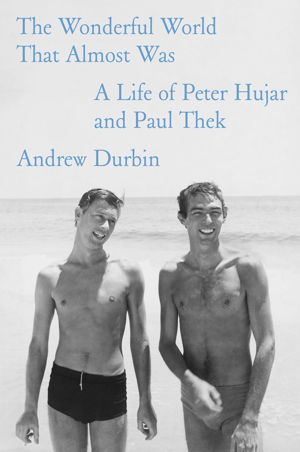 ler totalmente The Wonderful World That Almost Was: A Life of Peter Hujar and Paul Thek
