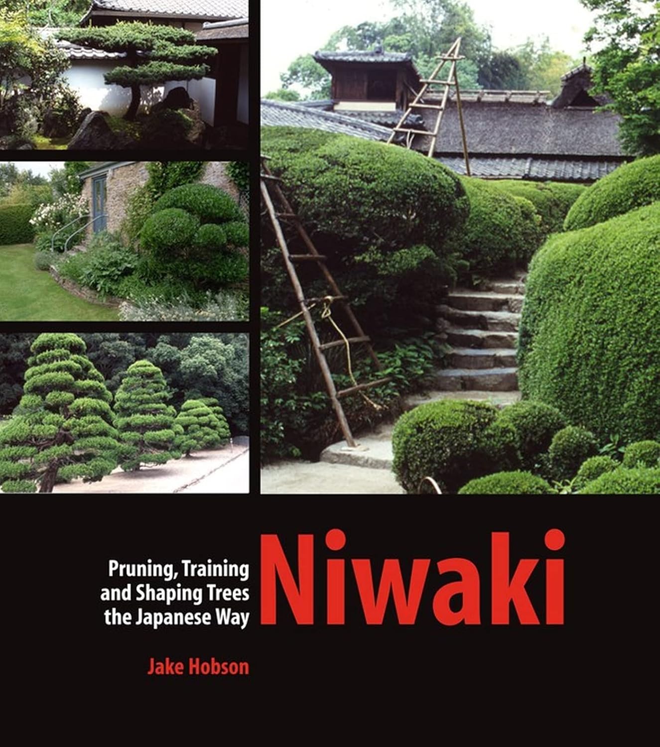 Niwaki: Pruning, Training and Shaping Trees the Japanese Way baixar livro de graça