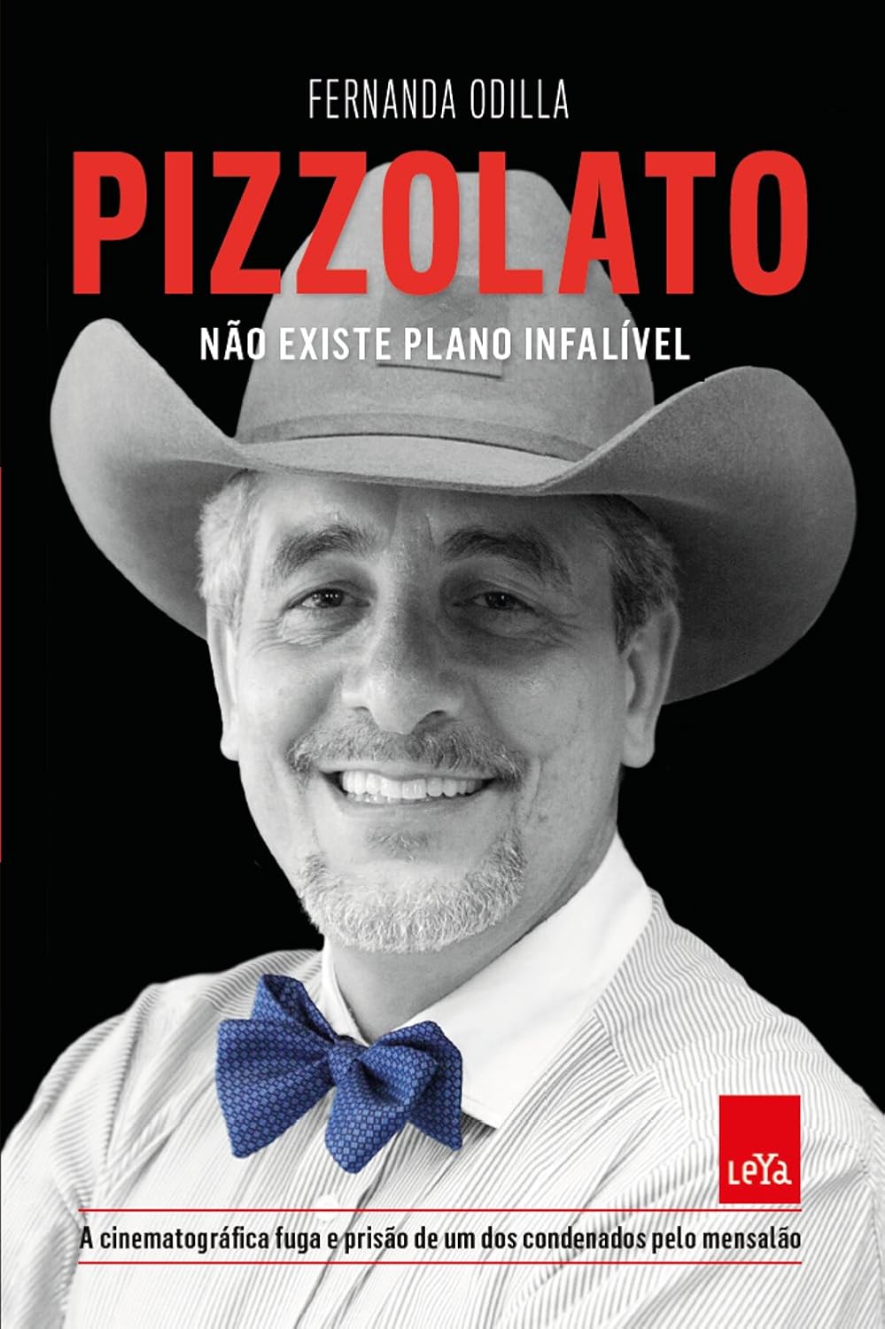 Pizzolato. Não Existe Plano Infalível baixar livro de graça