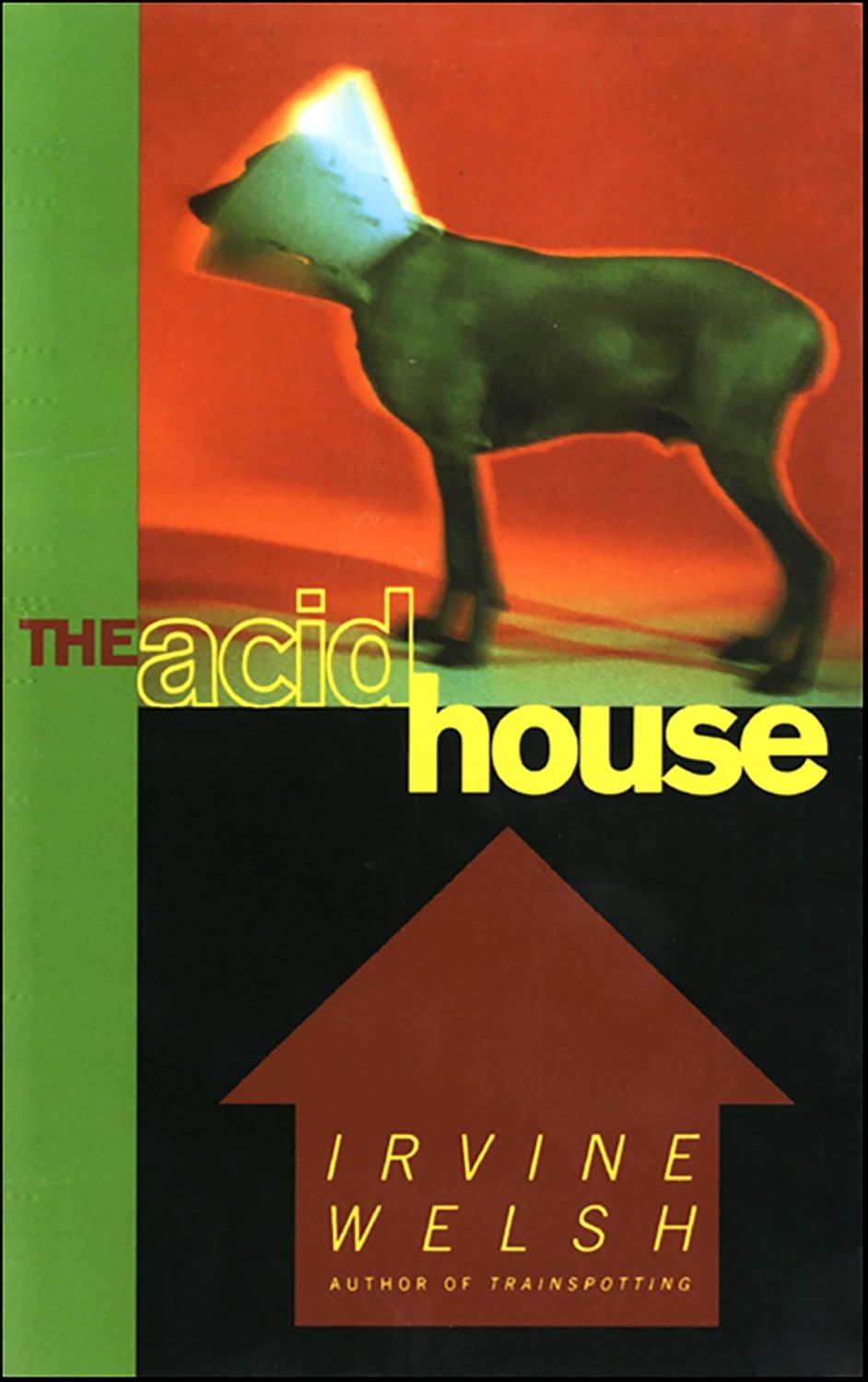The Acid House (English Edition)