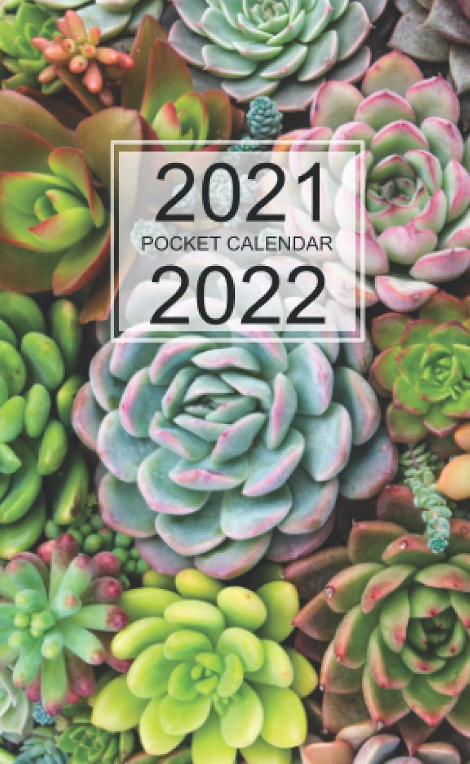 ler totalmente 2021-2022 Two Year Planner: Pocket Monthly calendar for 2 years schedule and small organizer, Personal time management purse notebook with Succulent Cover