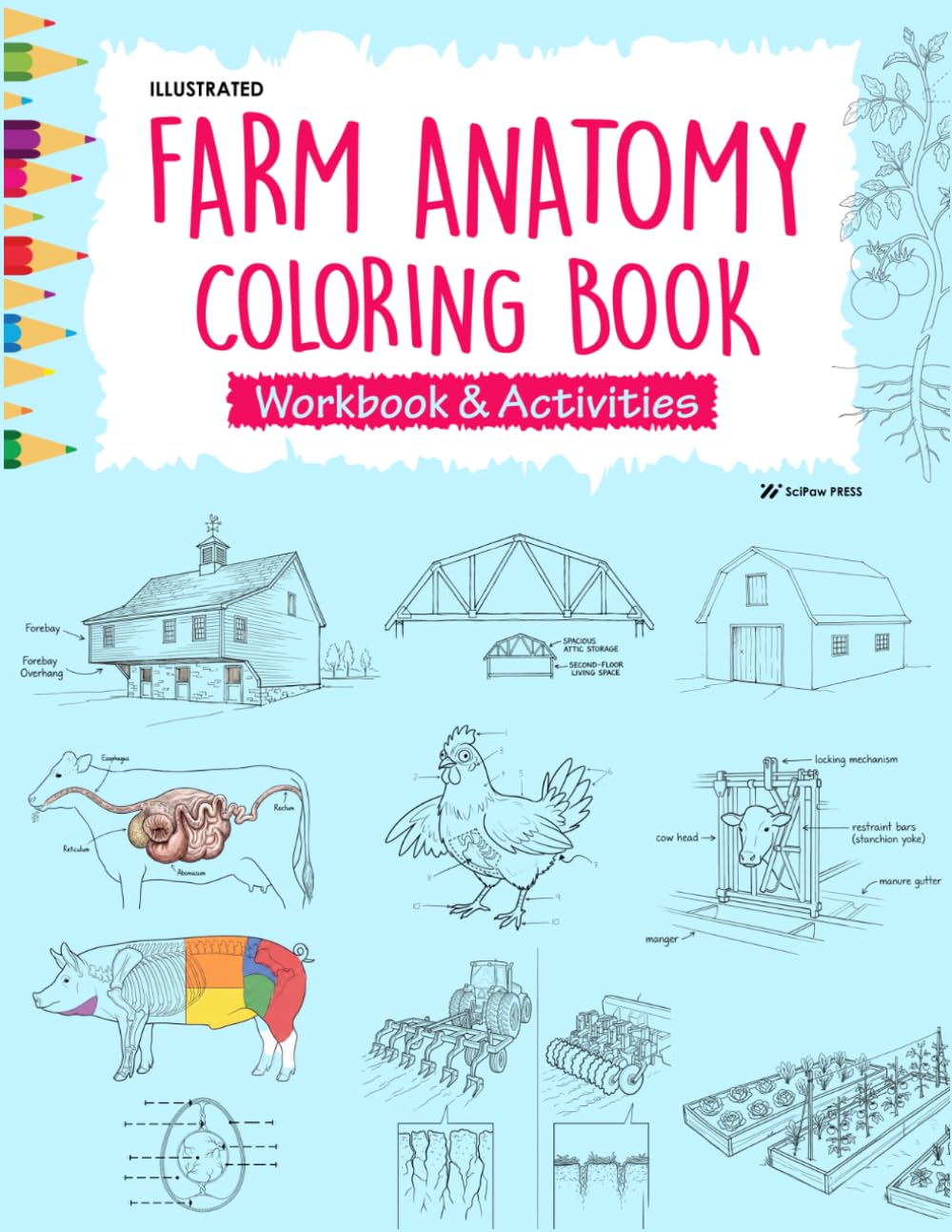 Illustrated Farm Anatomy Colouring Book: A Veterinary & Homesteading Workbook and Activities: A hand-drawn Animal Anatomy, Barn Structures, and... High schools, and Adults (Smart STEM) baixar o livro de graça