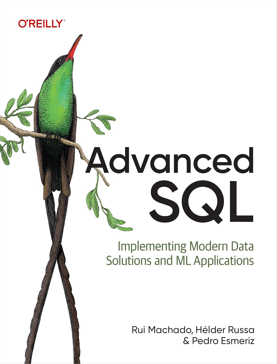 ler totalmente Advanced SQL: Implementing Modern Data Solutions and ML Applications (English Edition)