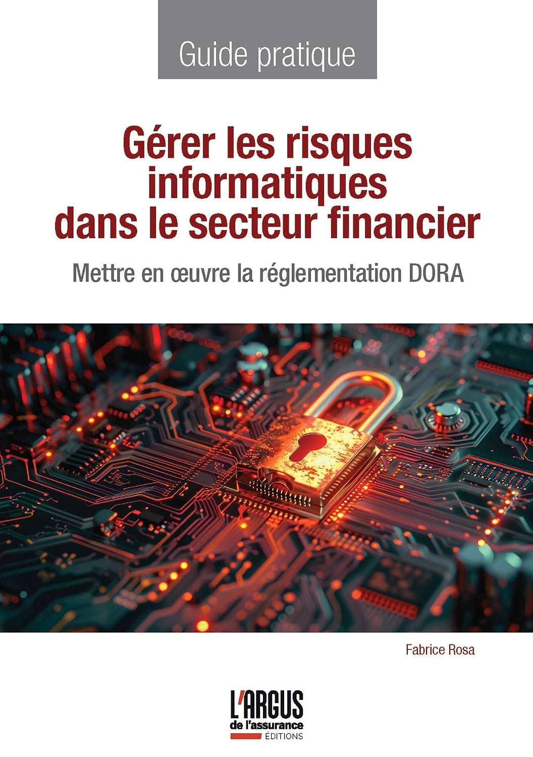 Gérer les risques informatiques dans le secteur financier: Mettre en oeuvre la réglementation DORA (French Edition) baixar o livro de graça