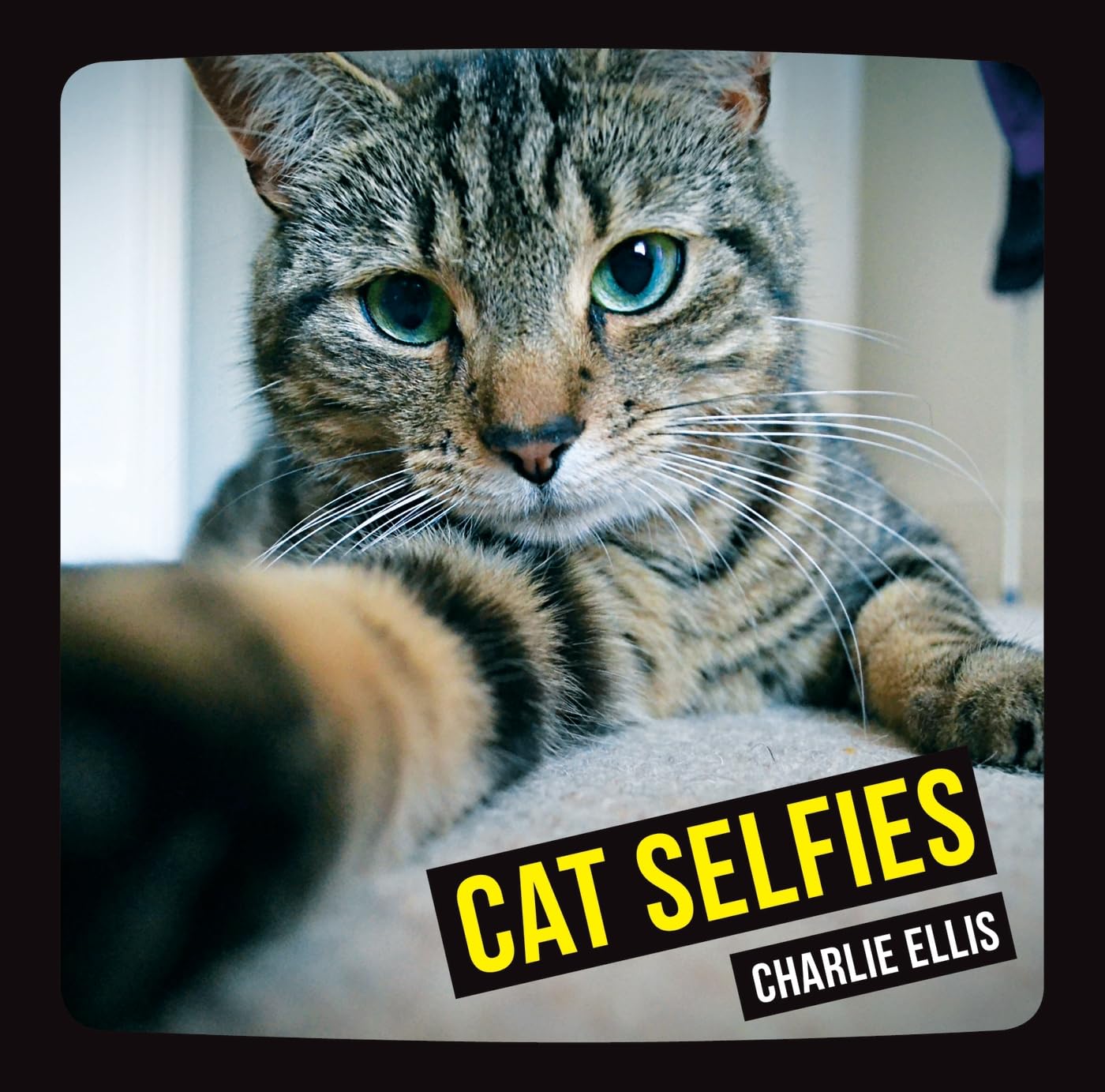Cat Selfies (English Edition) baixar livro de graça
