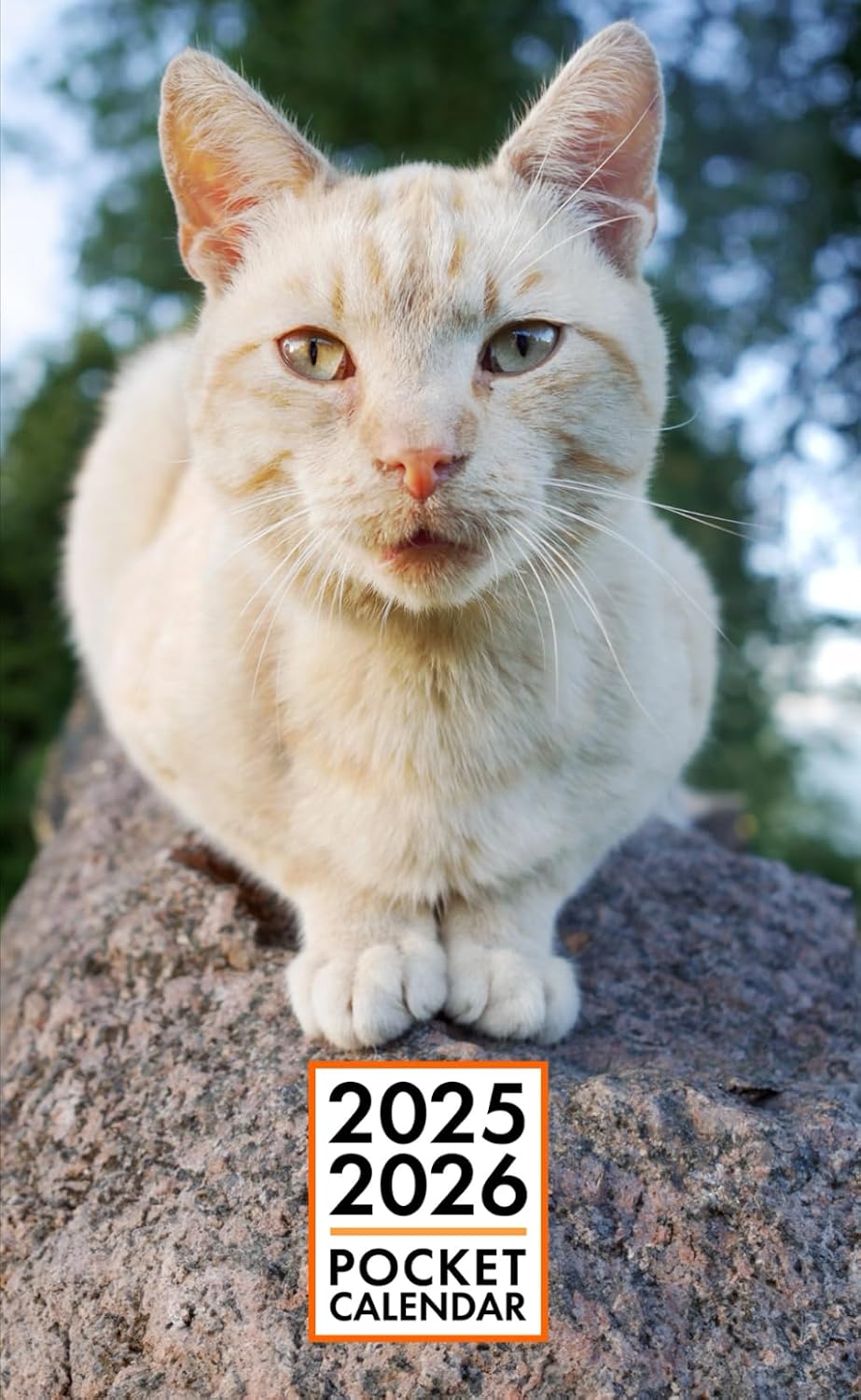 Pocket Calendar 2025-2026 for Purse - Ginger Cat v2 | 2 Year Pocket Planner January 2025 - December 2026 | Small Pocket Size 4 x 6.5 | Sketches of Cats in the Middle baixar o livro de graça