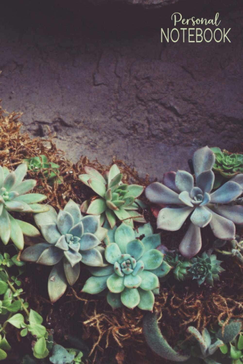 ler totalmente Personal Notebook: 150 Page Journal | Succulent Diary | Pretty Notebook | Daily Notes | Cactus Organizer