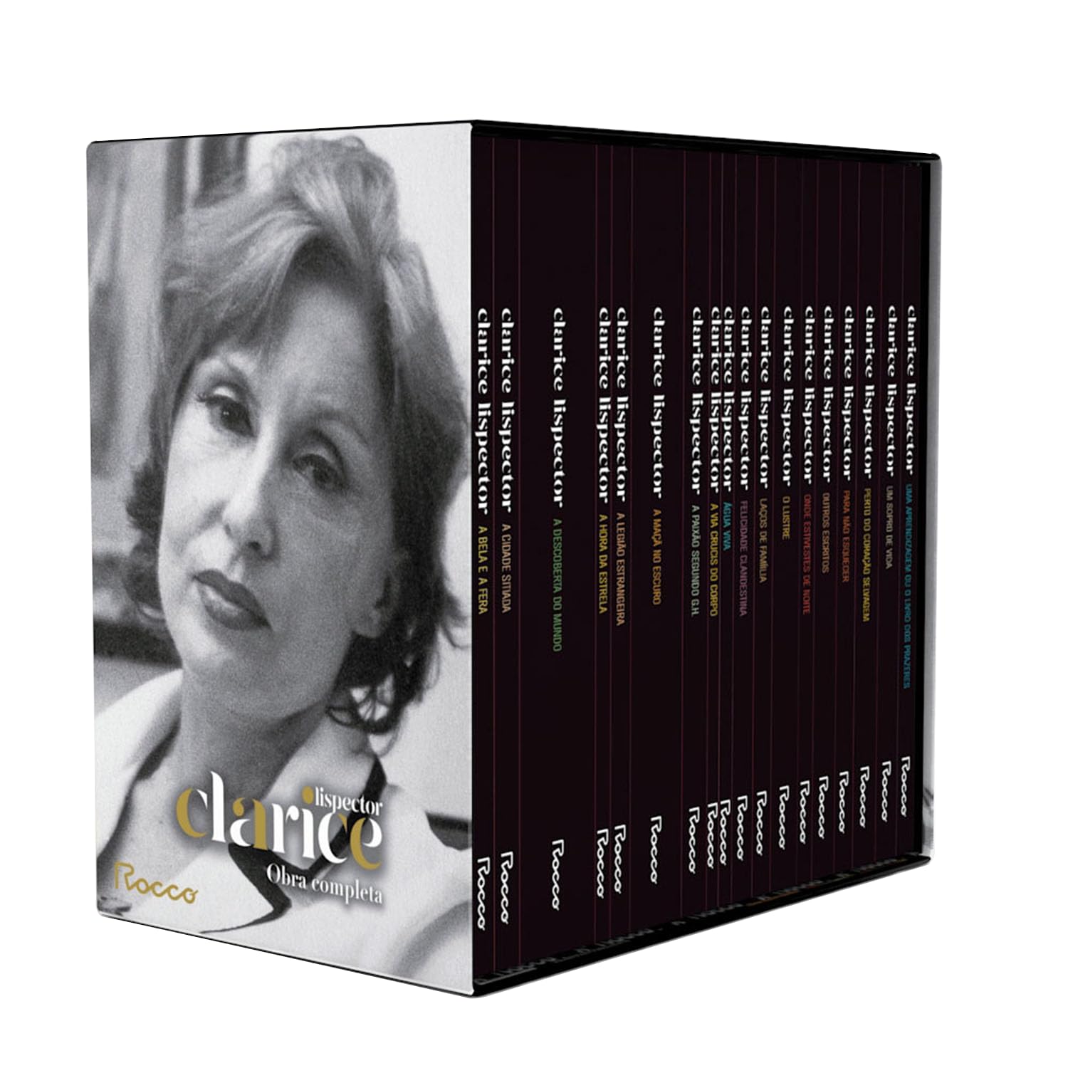 Caixa especial Clarice Lispector com 18 livros baixar livro de graça