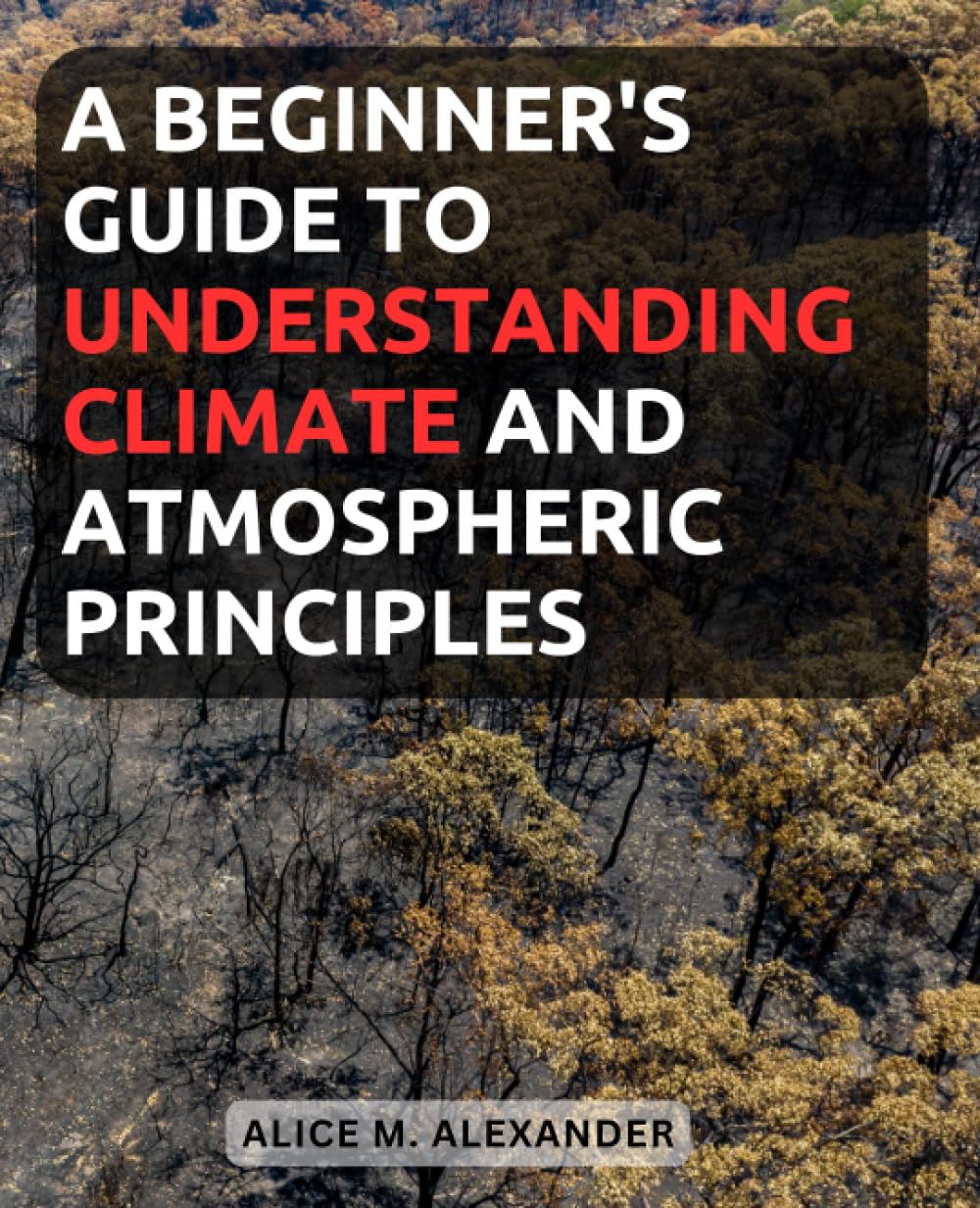 ler totalmente A Beginner's Guide to Understanding Climate and Atmospheric Principles: Unlock the Mysteries of Weather and Climate with Simple Explanations and Engaging Insights