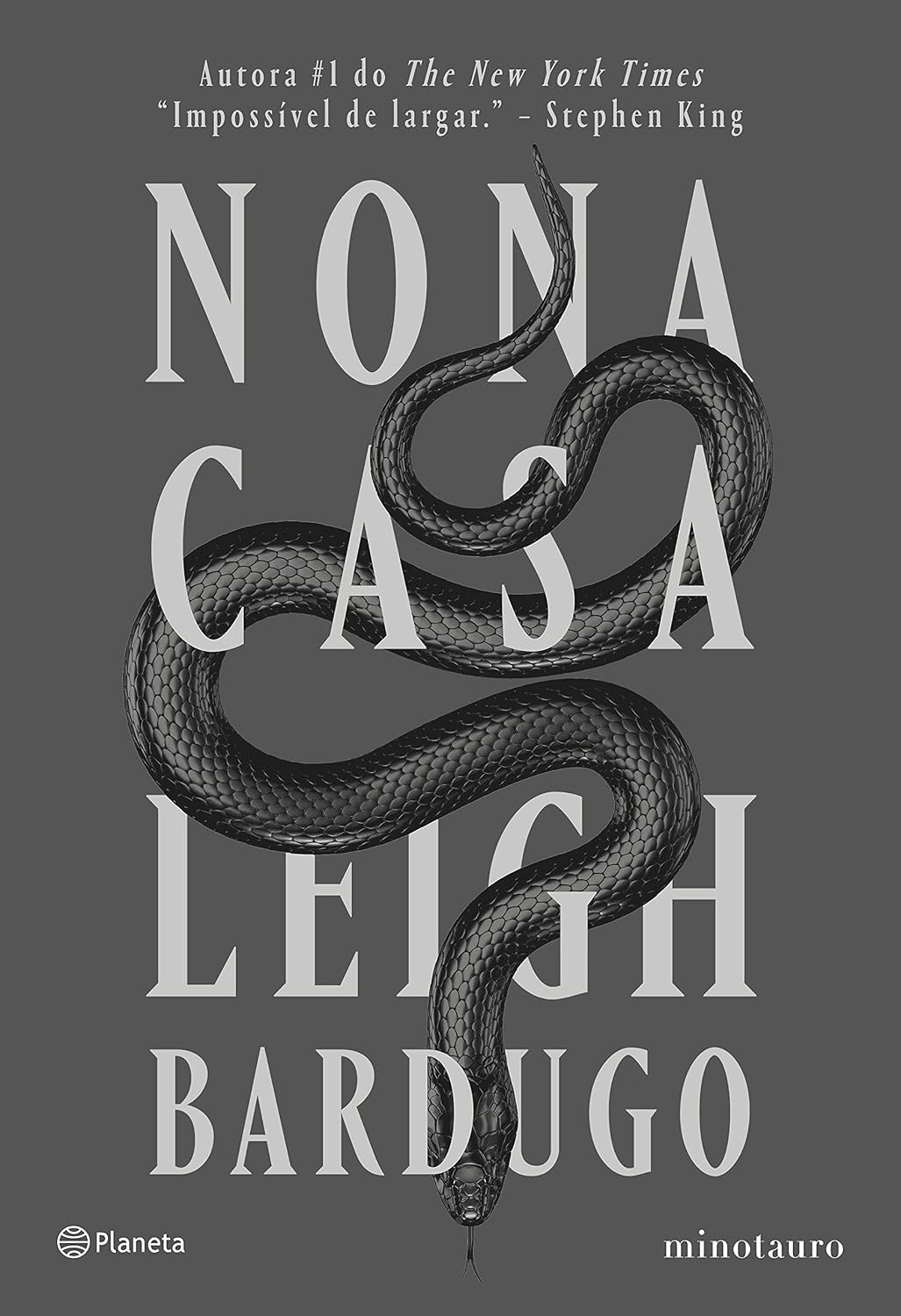 Nona casa (Sucesso do TikTok) baixar o livro de graça
