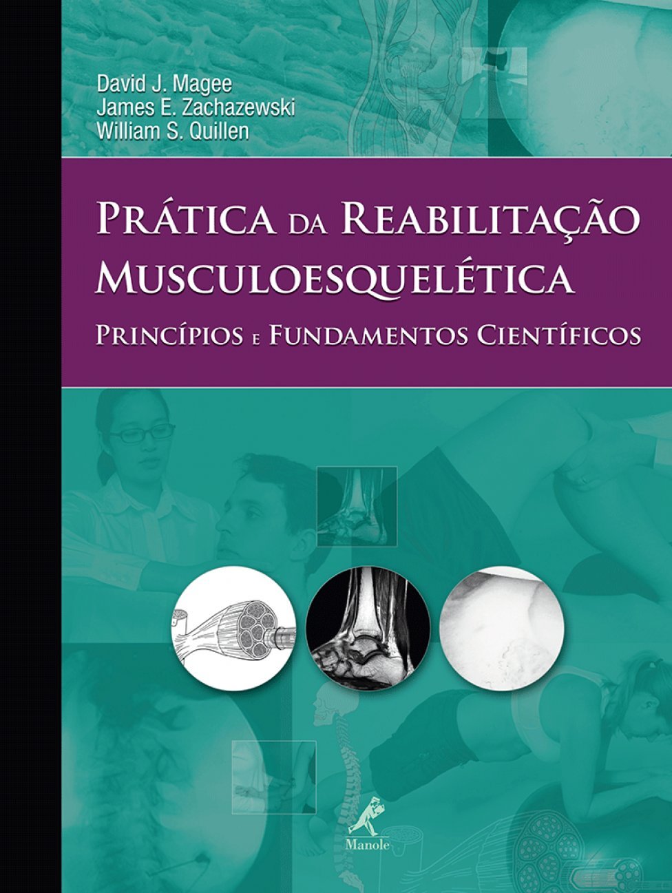 capítulo por capítulo baixar Prática da reabilitação musculoesquelética: Princípios e fundamentos científicos