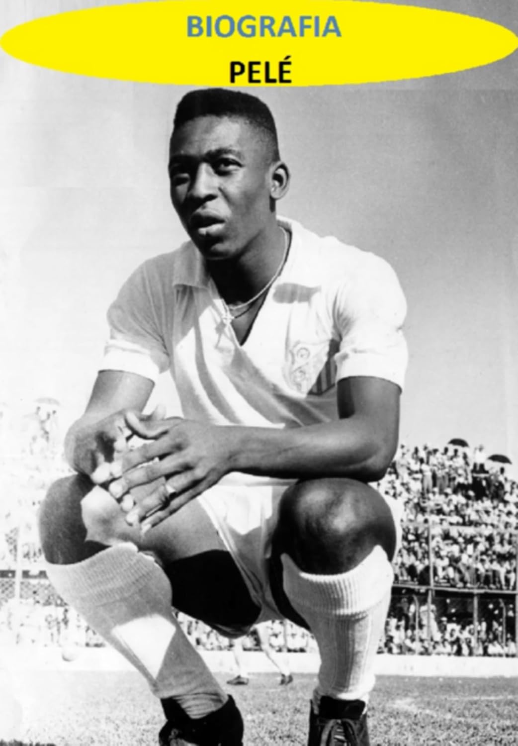 Biografia De Pelé baixar o livro de graça
