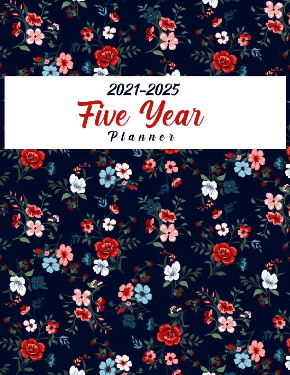 2021-2025 5-Year Monthly Planner: 2021-2025 Monthly 5 Year Planner, Personal Agenda Schedule Organizer and Appointment book baixar o livro de graça
