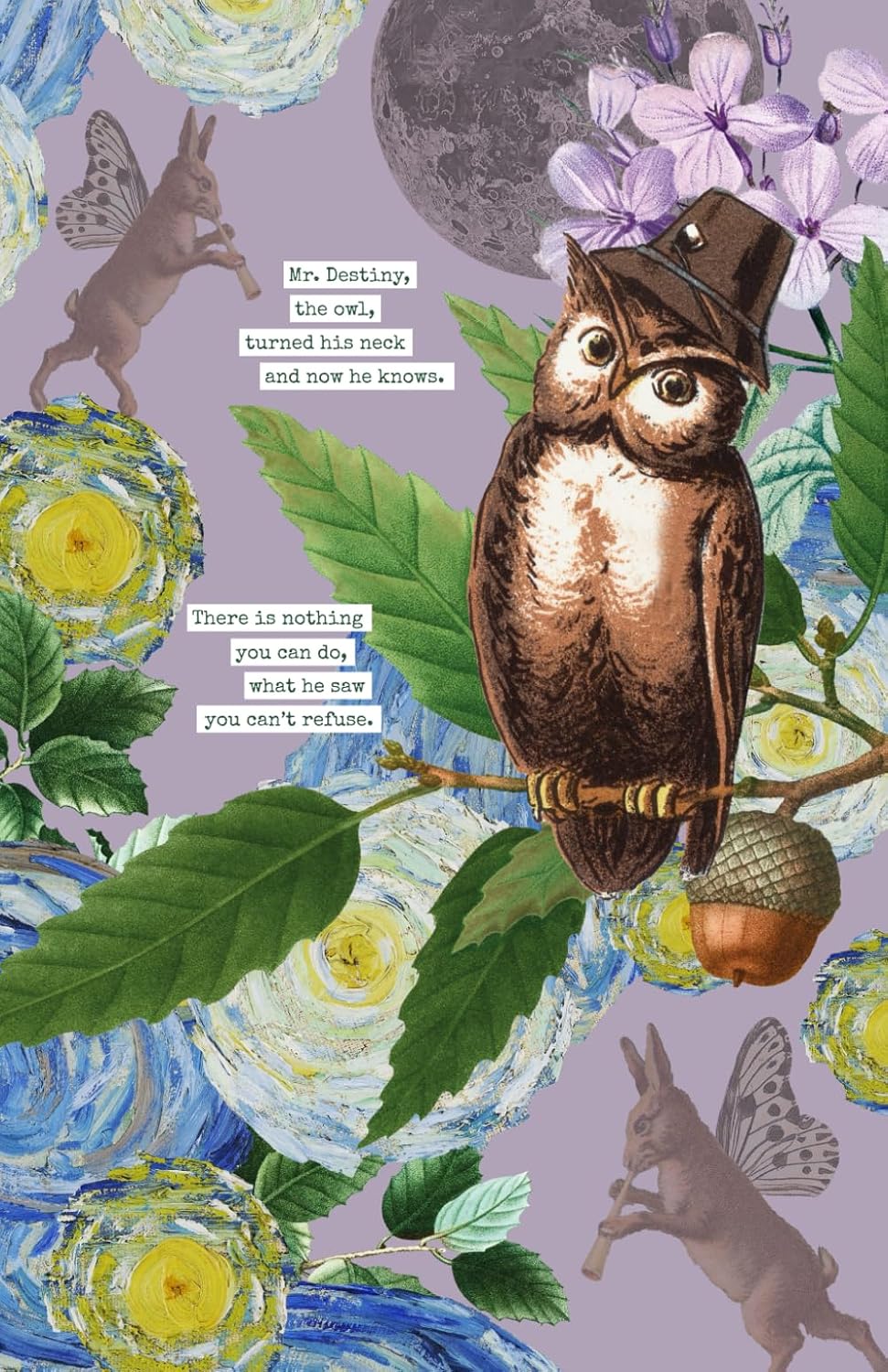 capítulo por capítulo baixar Mr. Destiny the owl: Notebook