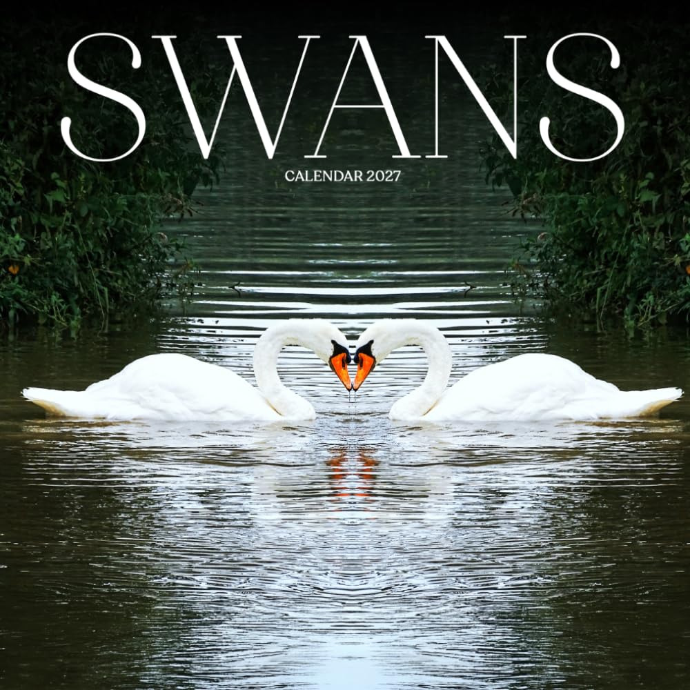 Swans Calendar 2027: Bird Portraits and Natural Scenes baixar o livro de graça