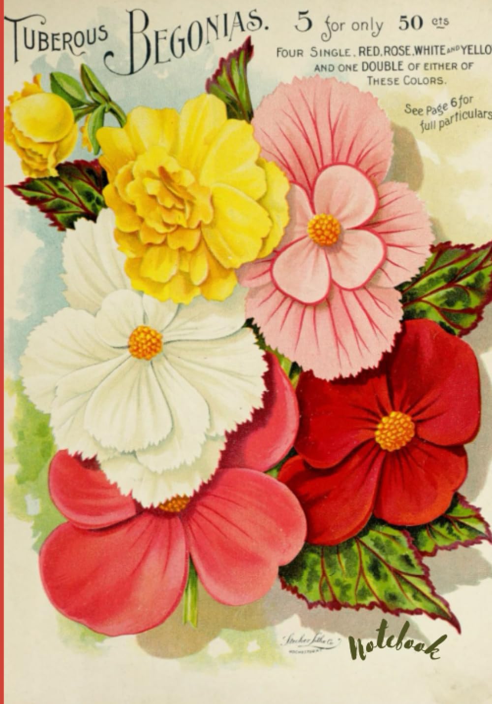 Composition Notebook: Vintage Composition Notebook Advertising With Tuberous Begonias Illustration | College Ruled Lined, 120 Pages, 7x10 baixar o livro de graça