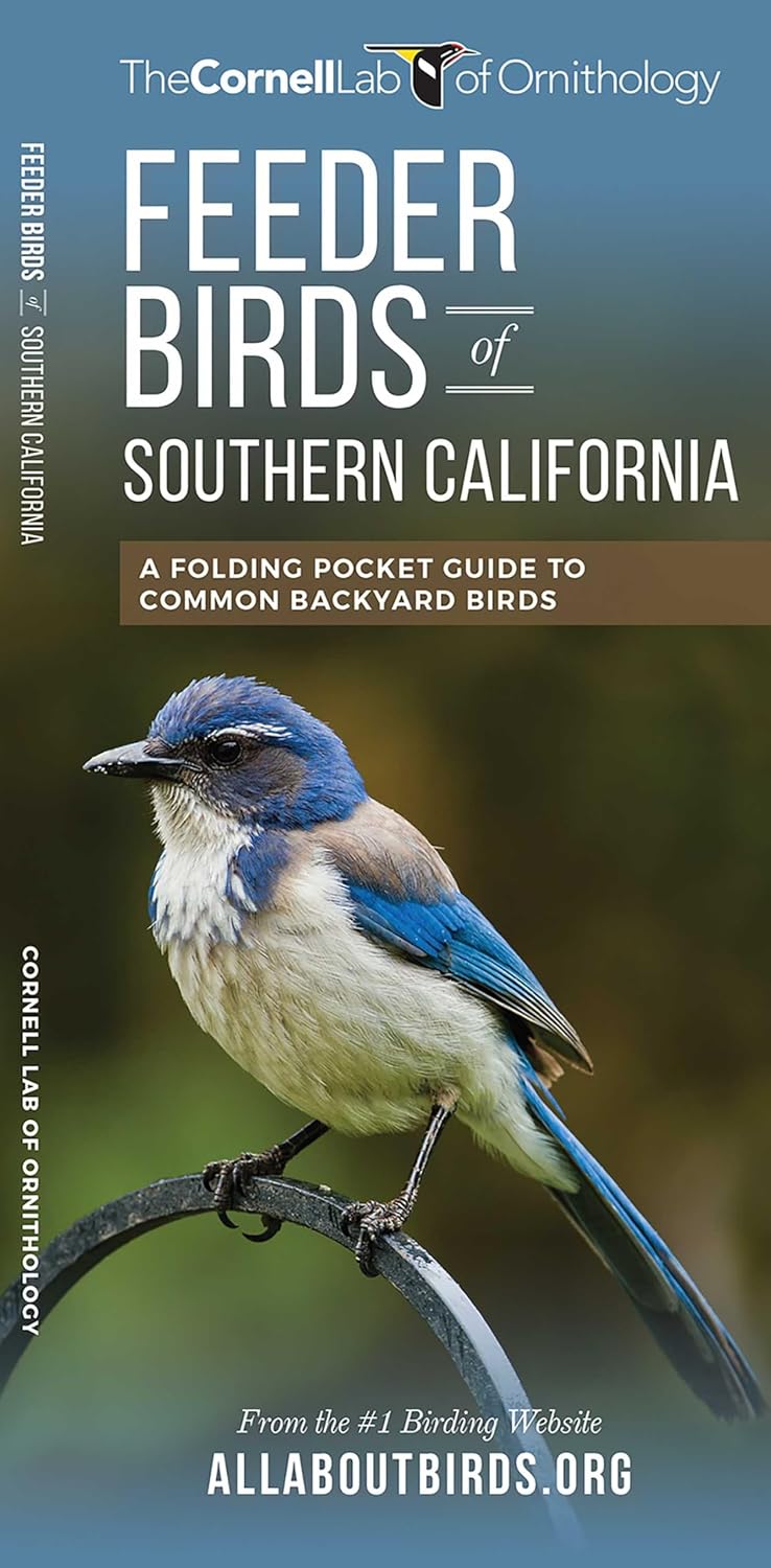 Feeder Birds of Southern California: A Folding Pocket Guide to Common Backyard Birds baixar o livro de graça
