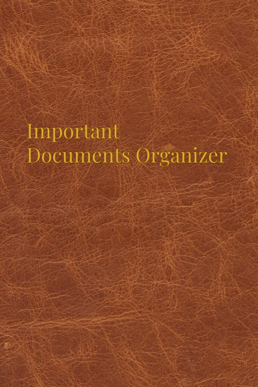 Important Documents Organizer: A Simple Place to Record and Track Where Personal, Financial, Legal, and Digital Documents Are Stored baixar o livro de graça