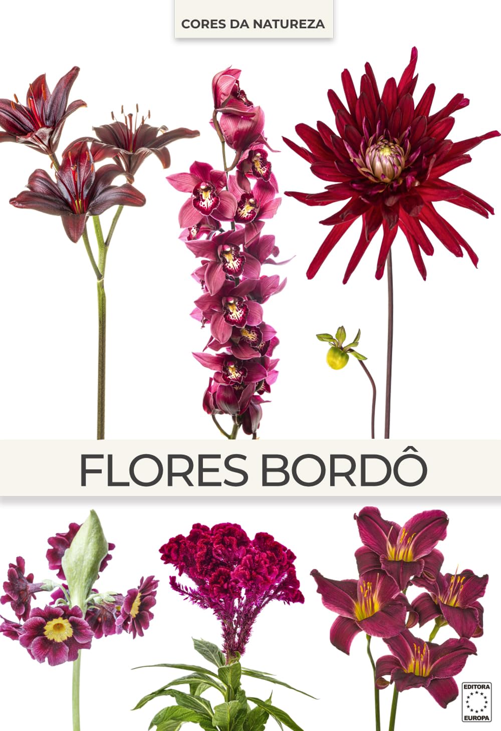 Coleção Cores da Natureza - Flores Bordô baixar o livro de graça