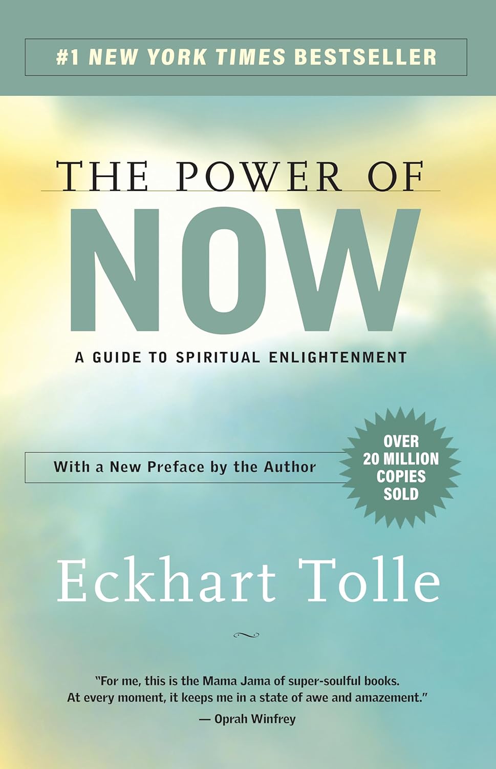 capítulo por capítulo baixar The Power of Now: A Guide to Spiritual Enlightenment (English Edition)