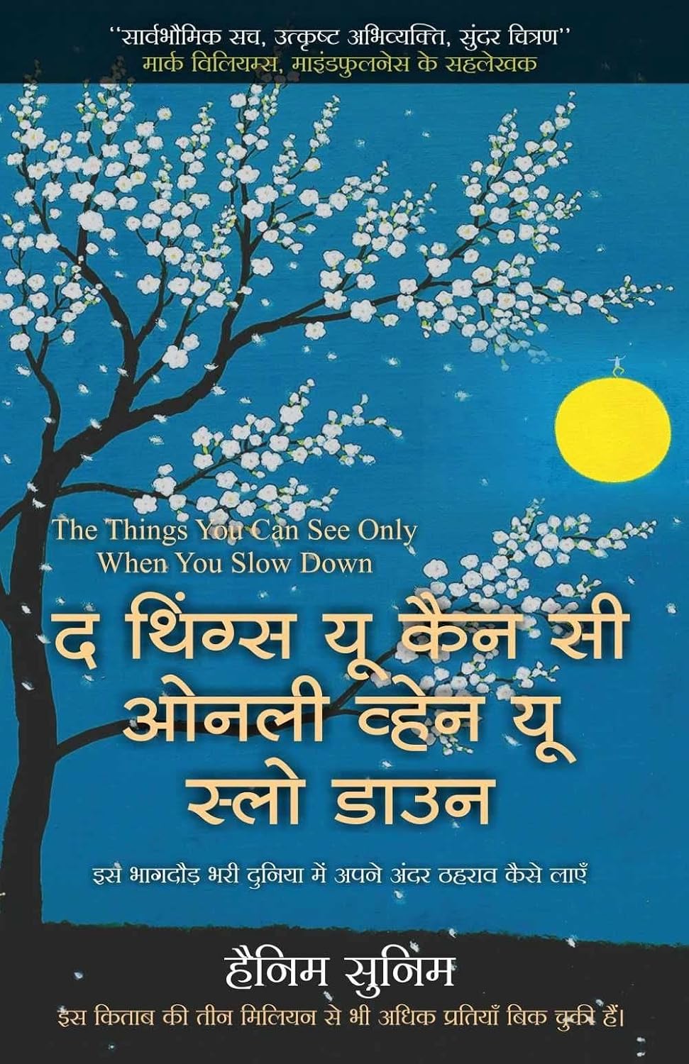 THINGS YOU SEE ONLY WHEN YOU SLOW DOWN (Hindi Edition) by Haemin Sunim baixar o livro de graça