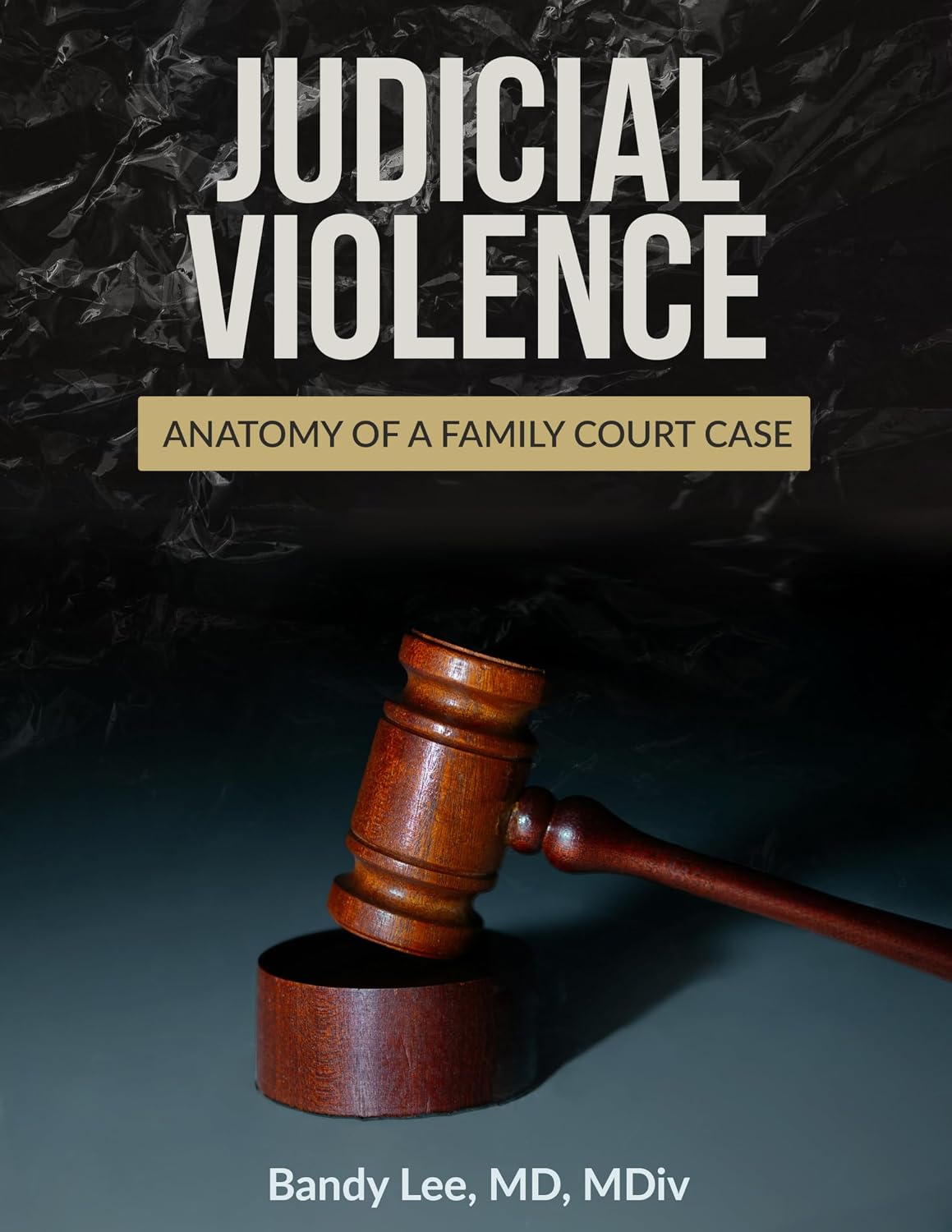 capítulo por capítulo baixar Judicial Violence: Anatomy of a Family Court Case (English Edition)