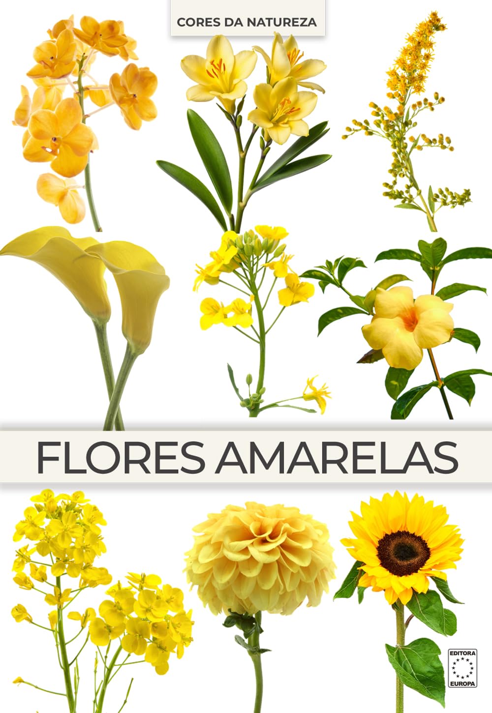 ler totalmente Coleção Cores da Natureza - Flores Amarelas