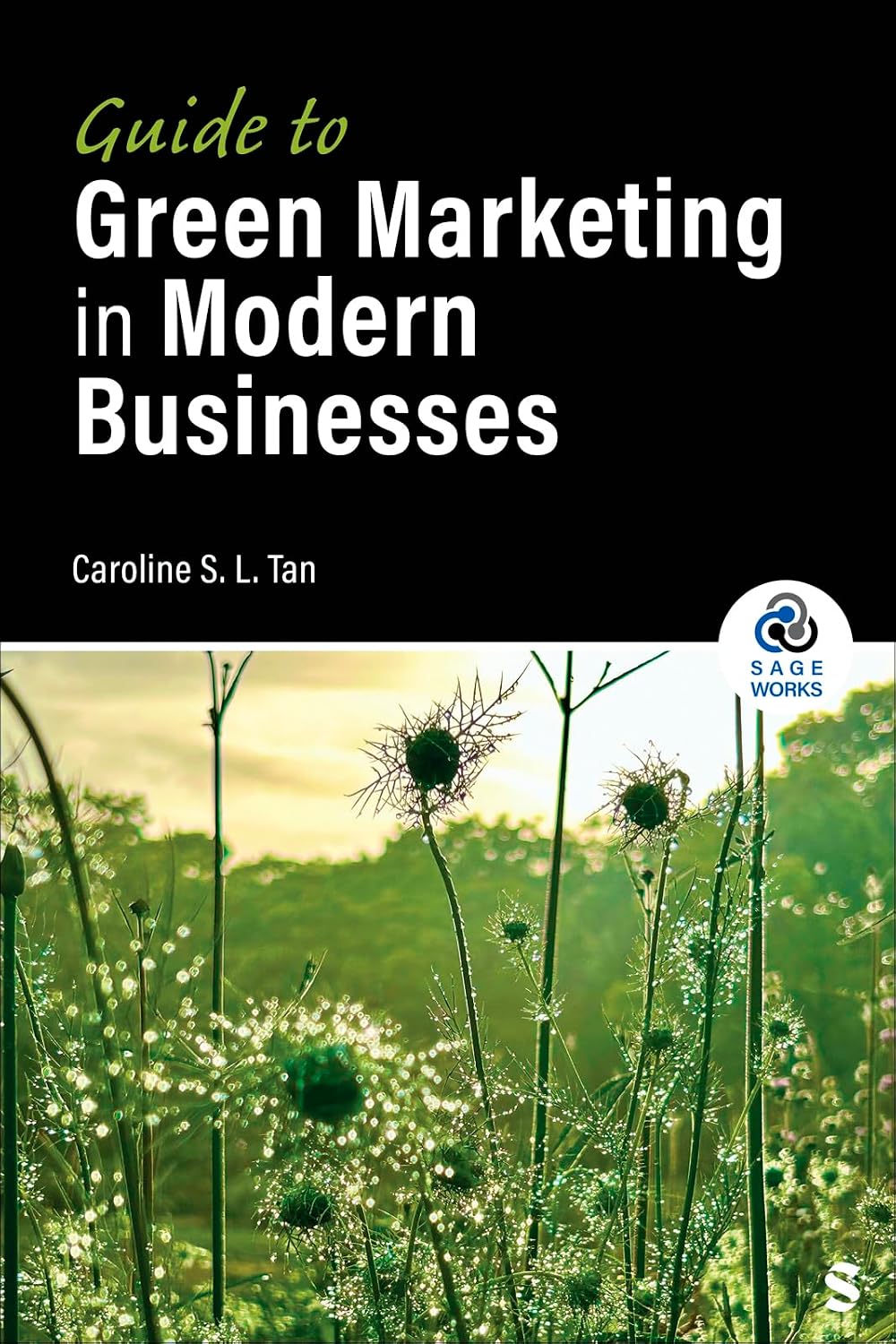 Guide to Green Marketing in Modern Businesses (SAGE Works) (English Edition)