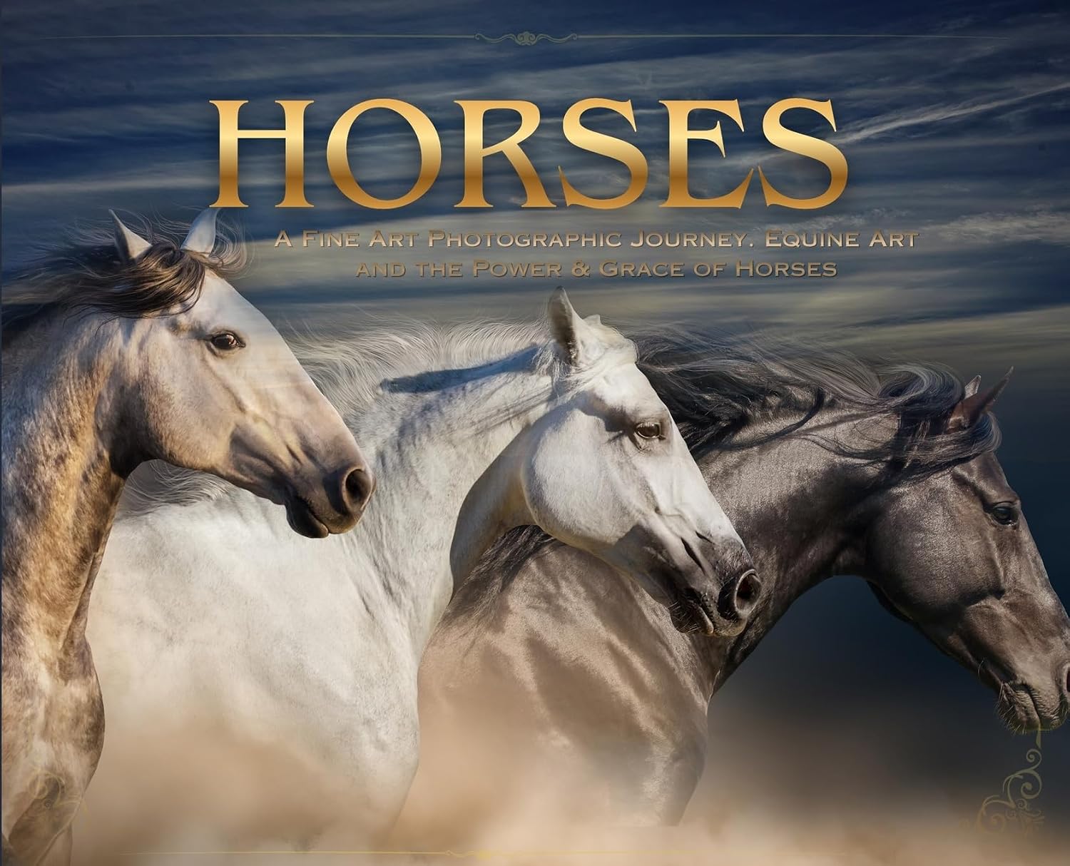 Horses: a Soulful Equestrian Photography Coffee Table Book baixar o livro de graça