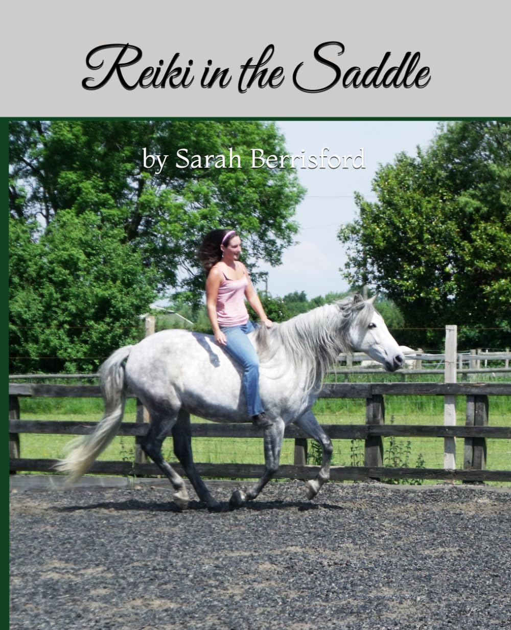 ler totalmente Reiki in the Saddle