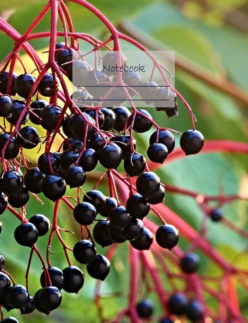 ler totalmente Notebook: Composition Notebook. College Ruled with Soft Matte Cover. 120 Pages. Perfect for School Notes, Ideal as a Journal or a Diary. 9.69 X 7.44. Great Gift Idea. (Elderberries Cover).