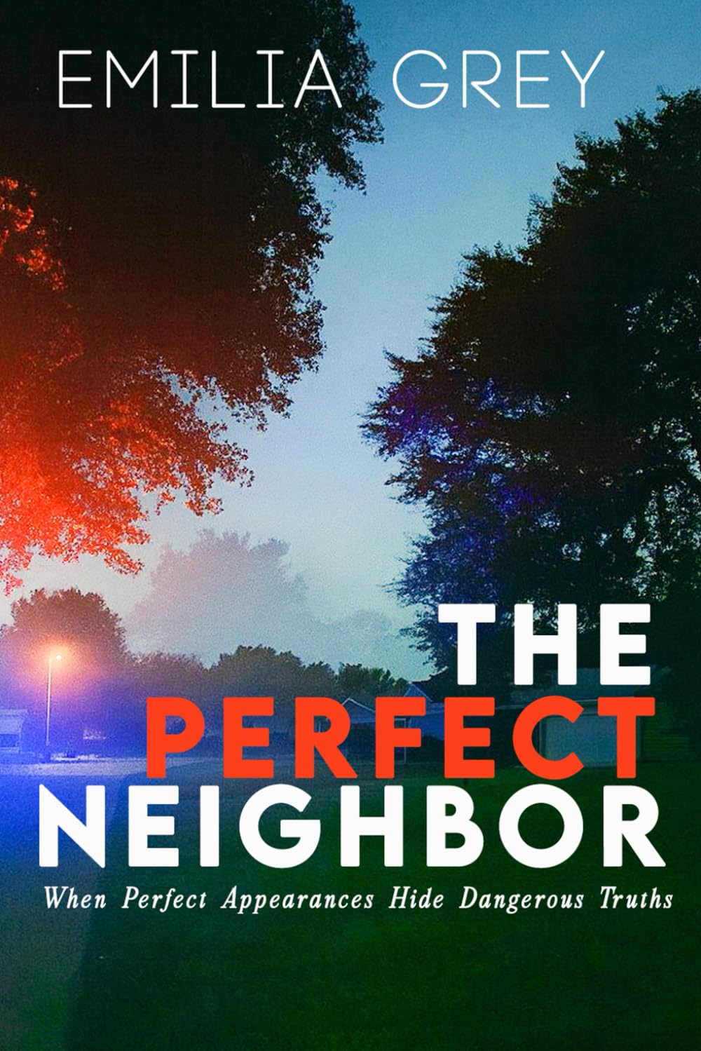 The Perfect Neighbor: When Perfect Appearances Hide Dangerous Truths baixar o livro de graça