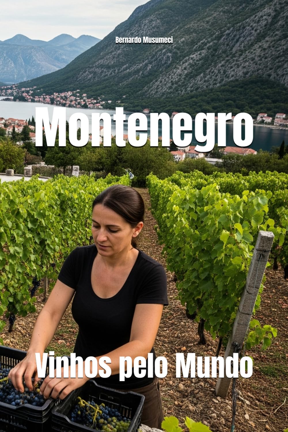 Montenegro: Vinhos pelo Mundo (Wines of the World) (Portuguese Edition) baixar o livro de graça