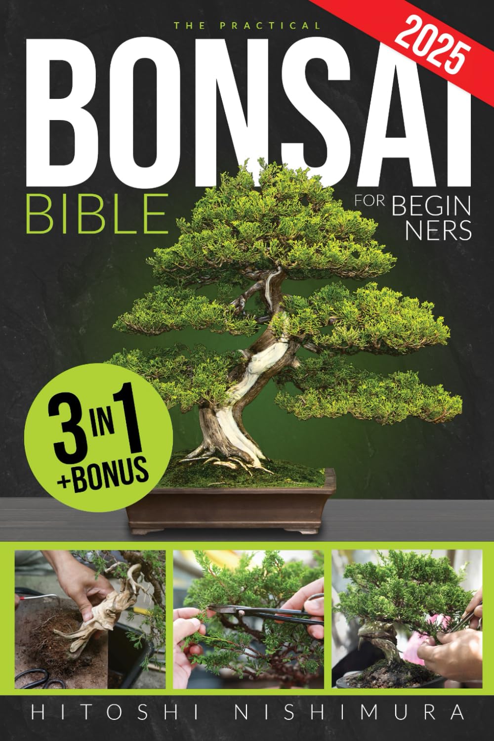 The Practical Bonsai Bible for Beginners: Discover All the Secrets of This Ancient Asian Art to Grow and Take Care of Everlasting Bonsai baixar livro de graça