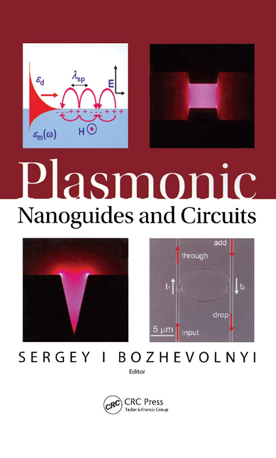 Plasmonic Nanoguides and Circuits (English Edition)